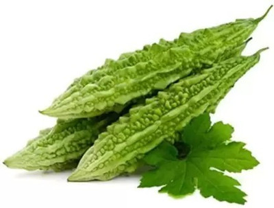 Aro Bitter Gourd, Karela Seed(55 per packet)