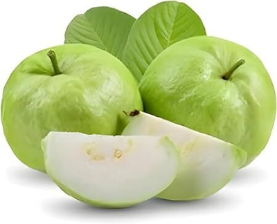 isarkars ™️Hybrid Guava (Amrood) Fruit Seed(25 per packet)
