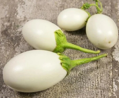 UGRA Japanese White Egg Eggplant Seed(200 per packet)
