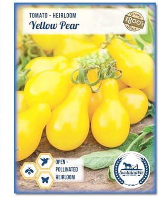 Biosnyg Yellow Pear Tomato[500 Seeds] Seed(500 per packet)