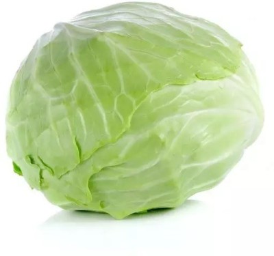 MYLAWN Green Cabbage (बंधा गोभी के बीज) Seed(100 per packet)