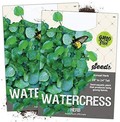 WILLVINE True Watercress (Nasturtium officinale)-2 x Packet Seed(200 per packet)