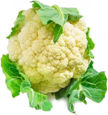 wequality cauliflower seeds fo home/cauliflower seeds 30 Seed(30 per packet)