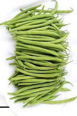 BJUBAS beans seeds pack of 17 Seed(17 per packet)