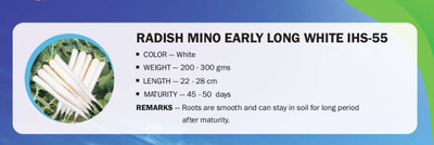 CYBEXIS RADISH MINO EARLY LONG WHITE IHS-55(1000 Seeds) Seed(1000 per packet)