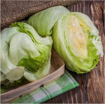 VibeX ® RXI-570 Iceberg Lettuce Seeds for Planting Seed(200 per packet)