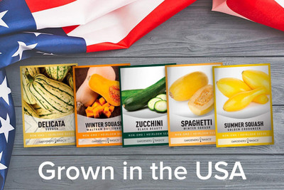 VibeX PUAS-9 - Zucchini Delicata Butternut Spaghetti Golden Crookneck - (75 Seeds) Seed(75 per packet)