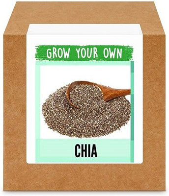 CYBEXIS Chia700 Seeds Seed(700 per packet)