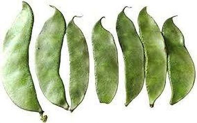 BJUBAS beans vegetable seeds pack of 13 Seed(13 per packet)