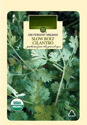 VibeX VVI-55 - Herb Cilantro Calypso - (2250 Seeds) Seed(2250 per packet)