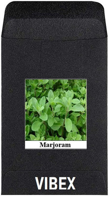 CYBEXIS Heirloom Vegetable Seeds-Marjoram200 Seeds Seed(200 per packet)