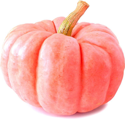 WILLVINE LXI-335 Pink Pumpkin Seeds Seed(50 per packet)