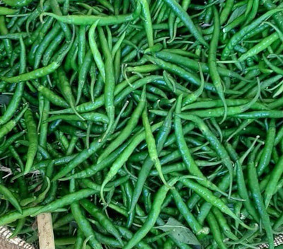 Farmonix Chilly/Green Chilli/हरी मिर्च Seed(800 per packet)
