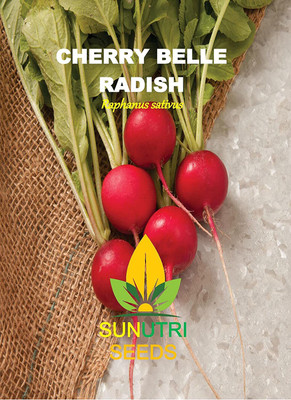 CYBEXIS NDIR-68 - Radish Cherry Belle - (250 Seeds) Seed(250 per packet)