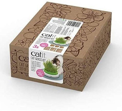 CYBEXIS XLR-57 - Cat Grass Oat - (4500 Seeds) Seed(4500 per packet)