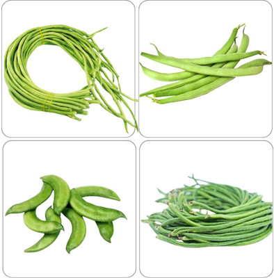 CRGO BEANS Seed(90 per packet)