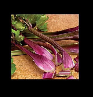CYBEXIS XLR-6 - Rare Red Celery - (250 Seeds) Seed(250 per packet)