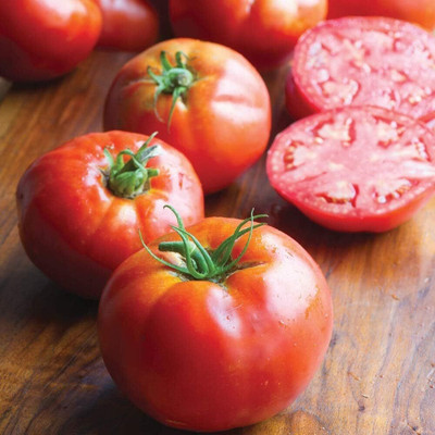 KNESSiN Easy to Grow Big Daddy Tomato Summer Vegetable Seeds For Planting - (400 Seeds) Seed(400 per packet)