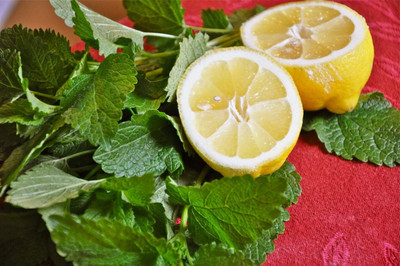 CRGO LEMON , NIMBU Seed(30 per packet)