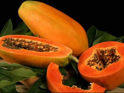 BDSresolve Best quality sweet papaya seeds/papaya seeds 81 Seed(81 per packet)