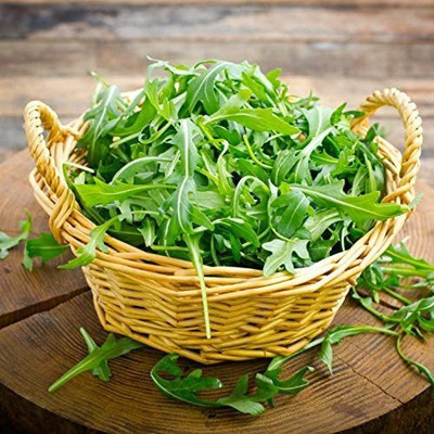 VibeX VVI-21 - Arugula (Slow Bolt) - (750 Seeds) Seed(750 per packet)