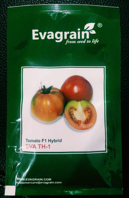 WILLVINE Hybrid Tomato Seed, F1 [1g, 300 Seeds] Seed(300 per packet)