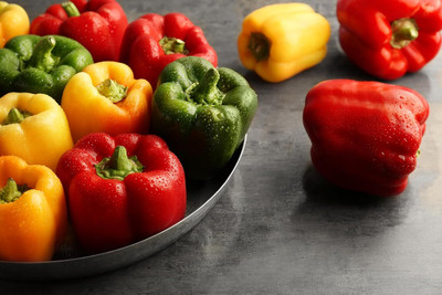 KNESSiN Easy to Grow Mixed Bellboy Capsicum Seeds For Gardening-(400 Seeds) Seed(400 per packet)