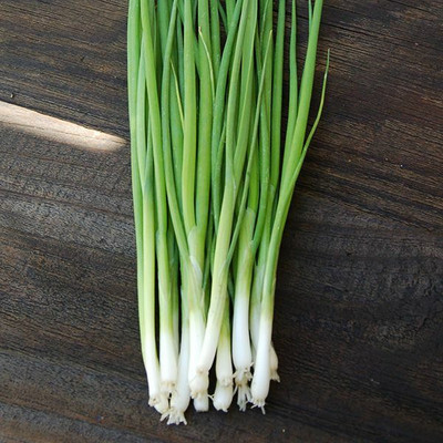 Mozette Hybrid Bunching onion Seed(65 per packet)