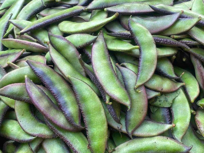 wequality bean seeds,vegetable seeds,simphali seeds,flat beans seeds Seed(15 per packet)