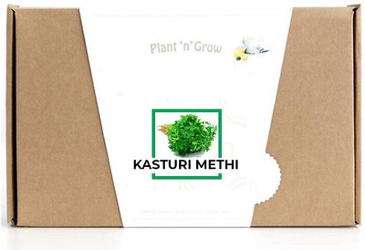 CYBEXIS Methi Seed(400 per packet)