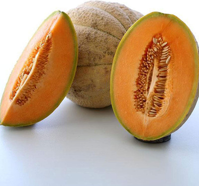 WILLVINE NBIR-332 Tuscany Musk Melon Seed Seed(200 per packet)
