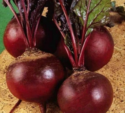 CEZIUS Sow and Grow Organic Red Beetroot-a8R Seed(160 per packet)
