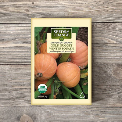 CYBEXIS GBPUT-61 - Gold Nugget Squash - (75 Seeds) Seed(75 per packet)