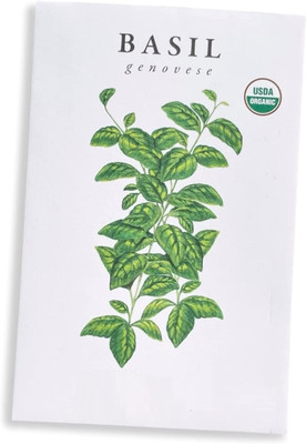 VibeX LX-81 - Basil Sweet Genovese - (4500 Seeds) Seed(4500 per packet)