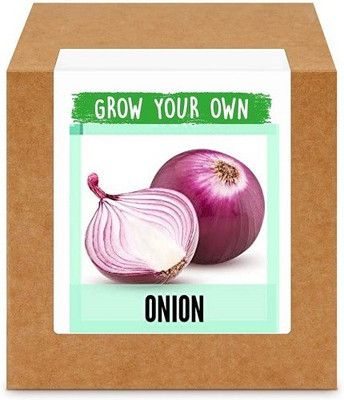 CYBEXIS Onion Nasik Red2000 Seeds Seed(2000 per packet)