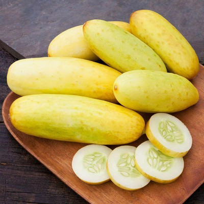 Quentova POONA KHEERA CUCUMBER SEED-IACR-33C Seed(200 per packet)