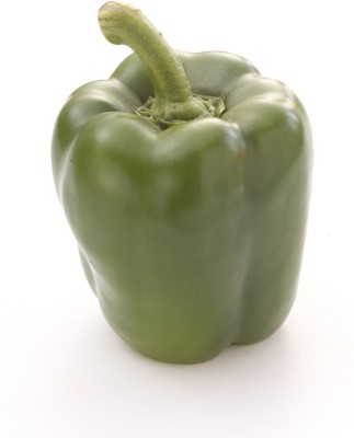 Quentova Green pepper Capsicum-9X-NDIR Seed(100 per packet)