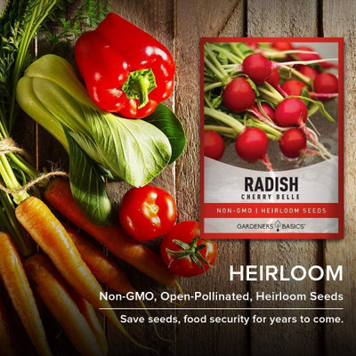 Qualtivate HYB-1A Cherry Belle Radish Seeds Seed(300 per packet)
