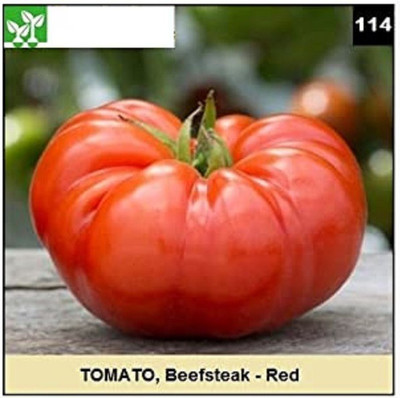 CYBEXIS BEAFSTEAK-RED TOMATO500 Seeds Seed(500 per packet)