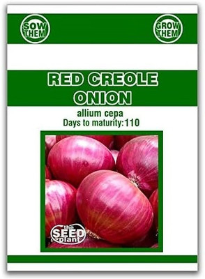 Biosnyg Red Creole Onion Seeds-2500 Seeds/10gm Seed(2500 per packet)