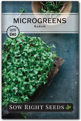 Qualtivate HUA-6A Radish Microgreen Seeds Seed(300 per packet)