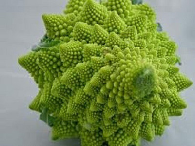 CYBEXIS TLX-58 - BROCCOLI ROMANESCO - (150 Seeds) Seed(150 per packet)