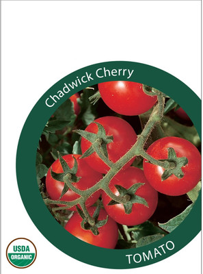 Quentova Chadwick Cherry Tomato 5gm Seeds Seed(2000 per packet)