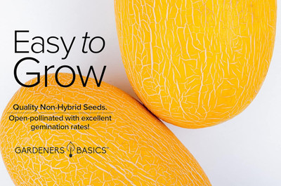 Qualtivate ICRA-4A Yellow Canary Musk Melon Seeds Seed(200 per packet)