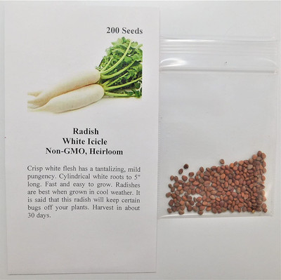 CYBEXIS VVI-4 - Radish White Icicle - (250 Seeds) Seed(250 per packet)