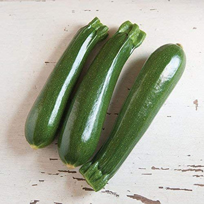 VibeX VXI-70 - Zucchini Dunja (Green) - (225 Seeds) Seed(225 per packet)