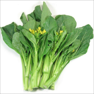 CYBEXIS TLX-24 - Brassica Juncea Choy Sum Mustard - (2250 Seeds) Seed(2250 per packet)