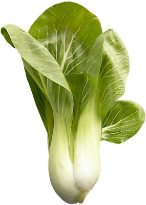 CYBEXIS Shanghai Bok choy Cabbage500 Seeds Seed(500 per packet)