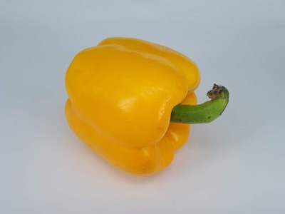 Qualtivate HYB-8A Yellow CAPSICUM SIMLA MIRCHI SEEDS Seed(100 per packet)