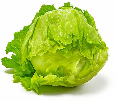 Aywal Lettuce Iceberg Seeds/Salad/सलाद के बीज/Vegetable Seed(60 g)